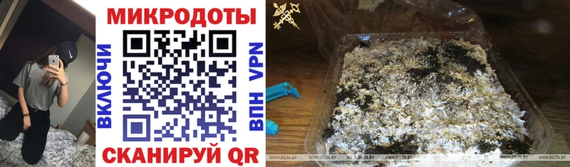 где купить наркоту  Бакал  KRAKEN сайт  Псилоцибиновые грибы Psilocybine cubensis 